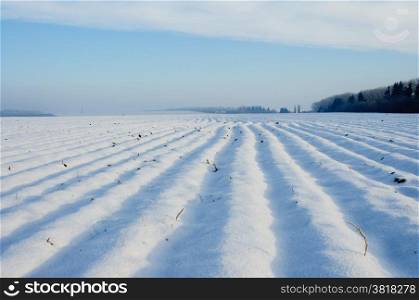 An image of rural winter view