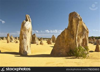 An image of the strange desert Pinnacles in Australia