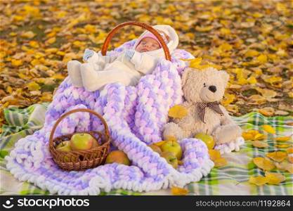 An impromptu picnic for a two-month-old baby sleeping in a basket in a park