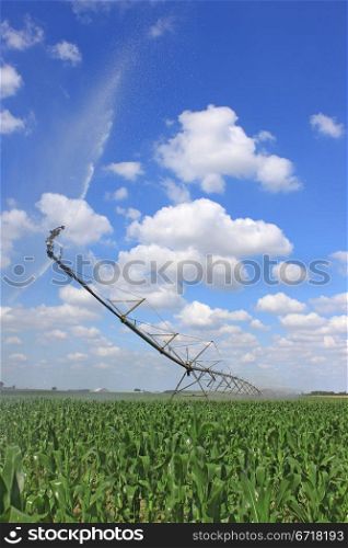 an irrigation system for agriculture in a grain field