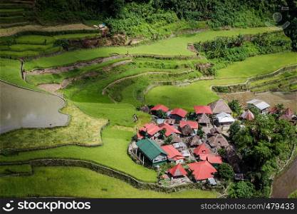 An isolated village on the Batad rice terraces in the Philippines
