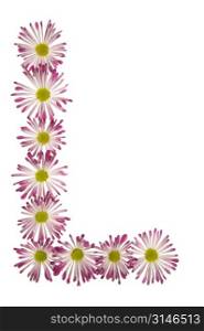 An L Made Of Pink And White Daisies