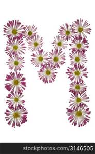 An M Made Of Pink And White Daisies