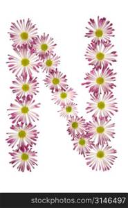 An N Made Of Pink And White Daisies