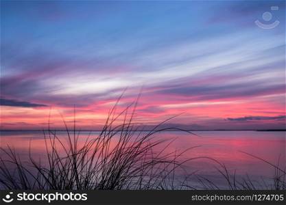An ocean sunset dramatic sky beyond grass silhouette