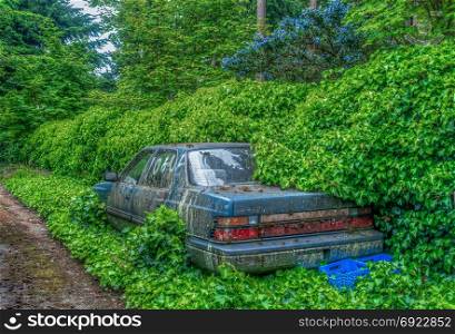An old abandoned car in being overtaken by nature. High Dynamic Range image.