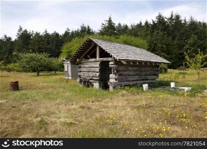 An old barn, made of logs chiked with mud, is being rebuilt on a farm on a remote island in Washington State.
