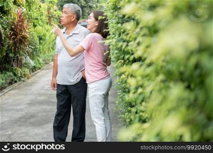 An old elderly Asian man and walking in the backyard with her daughter.  Concept of happy retirement With care from a caregiver and Savings and senior health insurance