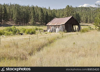 An old pioneer barn with a rusting metal roof in a grassy meadow on an Oregon ranch is gradually falling into disrepair.