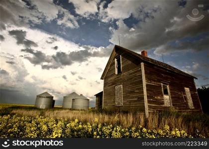 An old Saskatchewan homestead