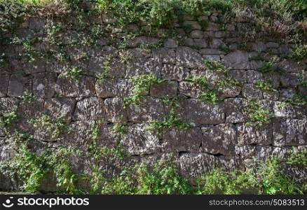 An old stone wall sprouted with grass
