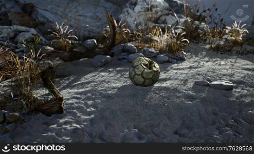 An old torn soccer ball thrown lies on sand of sea beach