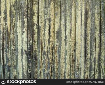 An old wood fence is in need of cleaning with much lichen on it. A nice background.