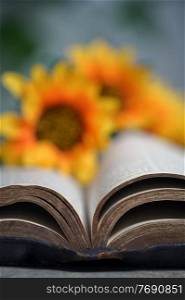 An Open Holy Bible and Sunflowers on Stone Table Bckground