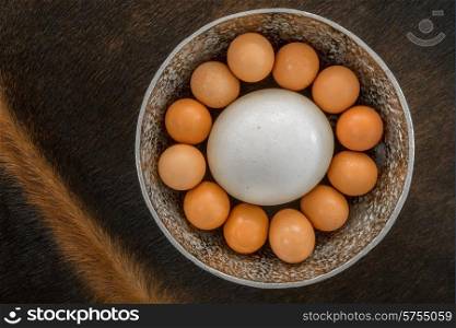 An Ostrich Egg in a bowl, surrounded by twelve large chicken eggs, viewed from the top as the bowl is placed on an oryx skin.