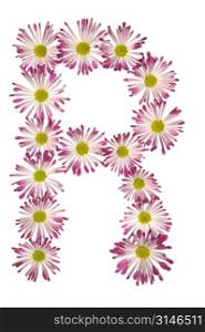 An R Made Of Pink And White Daisies