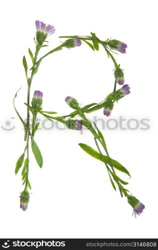 An R Made Of Purple Flowers