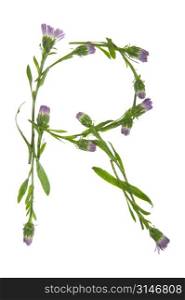 An R Made Of Purple Flowers