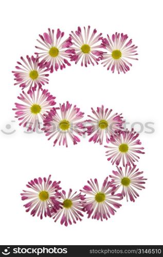 An S Made Of Pink And White Daisies