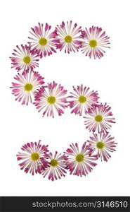 An S Made Of Pink And White Daisies