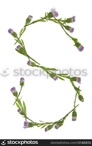 An S Made Of Purple Flowers