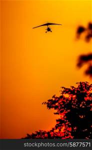 An ultra light aircraft comes in for a landing as the sun sets behind the trees, revealing only silhouettes of the top of the trees and the aircraft.