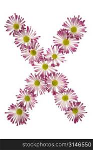 An X Made Of Pink And White Daisies