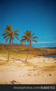 Anakena, a white coral sand beach situated on the northern tip of Rapa Nui (Easter Island).