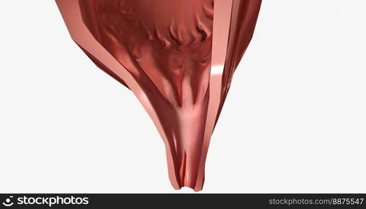 Anal fissure is a small tear in the lining of the anal mucosa. 3D rendering. Anal fissure is a small tear in the lining of the anal mucosa.