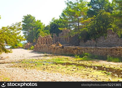 anatolia from the hill in asia turkey termessos old architecture and nature