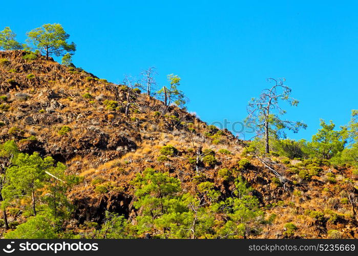 anatolia from the hill in asia turkey termessos old architecture and nature