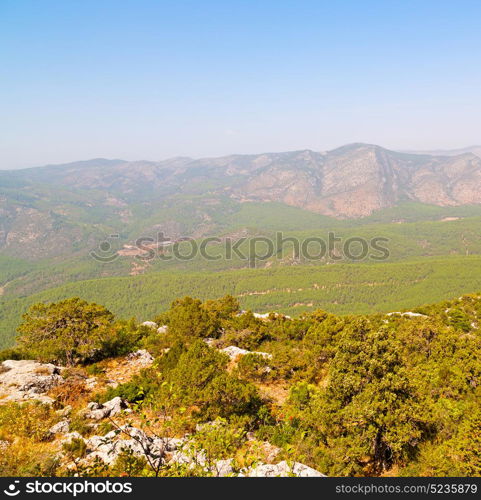 anatolia from the hill in asia turkey termessos old architecture and nature