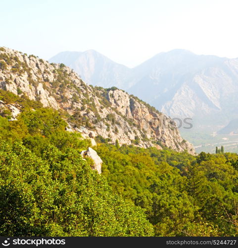 anatolia from the hill in asia turkey termessos old architecture and nature