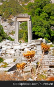 anatolia from the hill in asia turkey termessos old architecture and nature