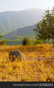 anatolia from the hill in asia turkey termessos old architecture and nature