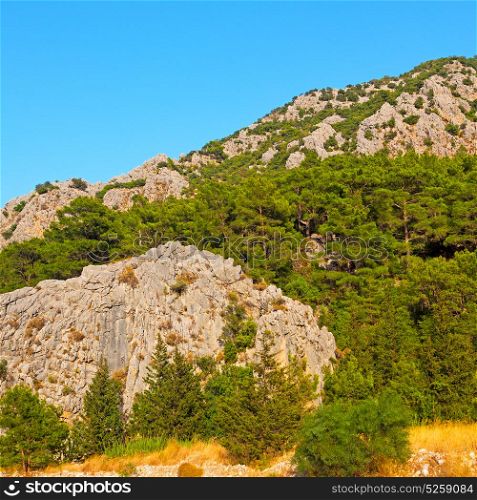 anatolia from the hill in asia turkey termessos old architecture and nature