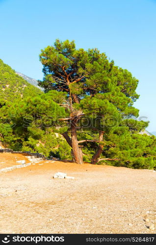 anatolia from the hill in asia turkey termessos old architecture and nature