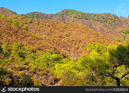 anatolia from the hill in asia turkey termessos old architecture and nature