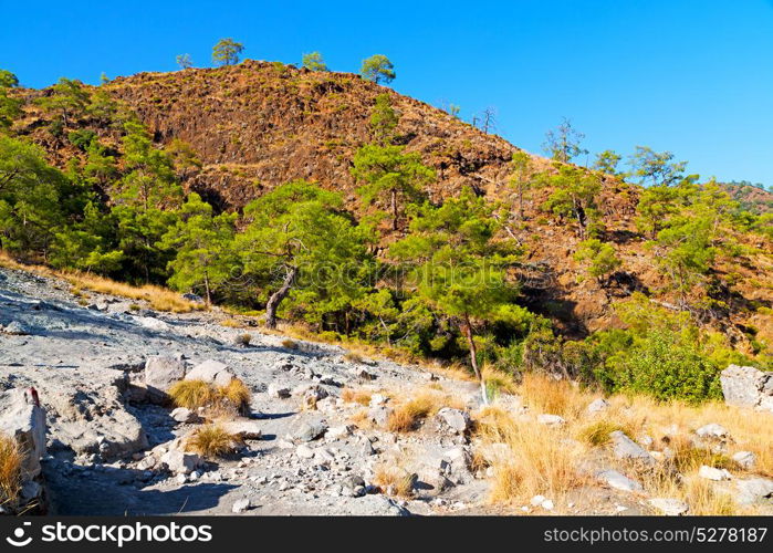 anatolia from the hill in asia turkey termessos old architecture and nature