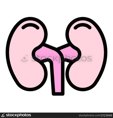 Anatomical kidney icon. Outline anatomical kidney vector icon color flat isolated. Anatomical kidney icon color outline vector