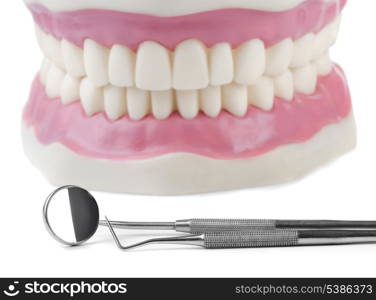 Anatomical teeth model and dental tools