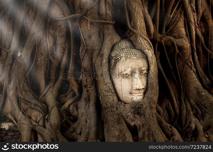 Ancient Buddha head overgrown by the roots of Bodhi tree at Wat Mahathat, Ayutthaya Historical Park, UNESCO World Heritage Site, Phra Nakhon Si Ayutthaya, Thailand.