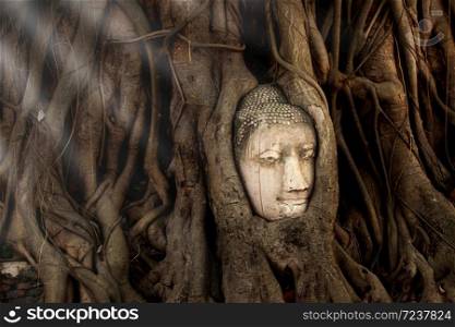 Ancient Buddha head overgrown by the roots of Bodhi tree at Wat Mahathat, Ayutthaya Historical Park, UNESCO World Heritage Site, Phra Nakhon Si Ayutthaya, Thailand.