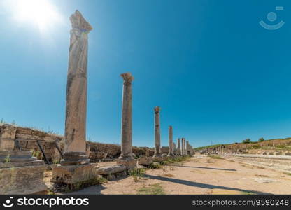 Ancient city of Perge in Antalya, Turkey. Historical ruins in the ancient city of Pamphylia