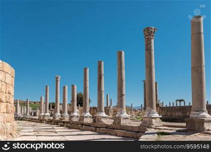 Ancient city of Perge in Antalya, Turkey. Historical ruins in the ancient city of Pamphylia