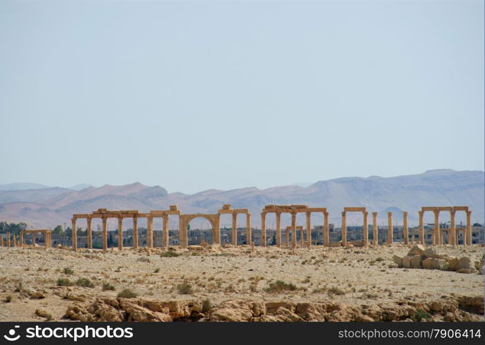 ancient columns Palmyra, Syria