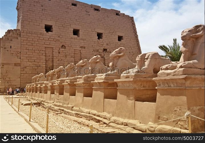 ancient egypt statues of sphinx in Luxor karnak temple