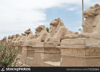 ancient egypt statues of sphinx in Luxor karnak temple 