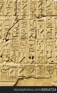 Ancient egyptian hieroglyphs carved on the stone wall in the Karnak Temple, Luxor, Egypt
