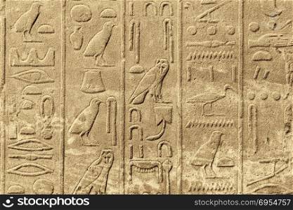 Ancient egyptian hieroglyphs carved on the stone wall in the Karnak Temple, Luxor, Egypt